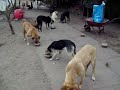 Los del fondo comiendo Los del fondo comiendo