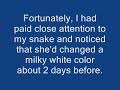 Six clicking, popping, & yawning Reptiles, Infections from