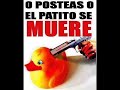 10 curiosidades que no sabias - www.10curiosidades.com