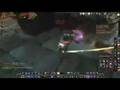 videos de Dailies del Brewfest (#3)