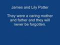 Harry Potter Death Tribute
