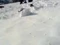 Achtung Schneeball Achtung Schneeball