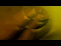 Giantess Digestion