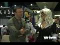 videos de Comic Con 2007 David Mack Interview w/Ruby Rocket