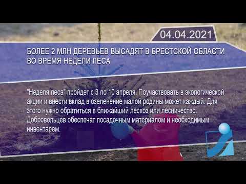Новостная лента Телеканала Интекс 04.04.21.