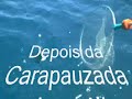 CARAPAUS \" XXL \" CARAPAUS \" XXL \"