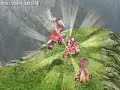 Ragnarok AMV Bleach opening