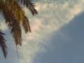 ����� ��� ������� �� ����� �� ��� ���� ��������