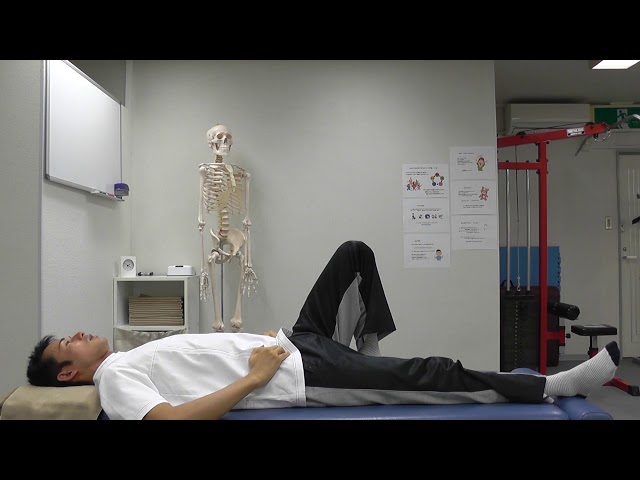 【セルフケア動画】ぎっくり腰の予防　２　『みぞおち体操』