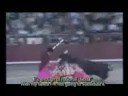 Ver video