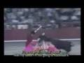 El Rock del Torero/ Bullfighter's Rock