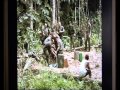 De la vitrine à la mine : enquête sur l'or illégal en Guyane