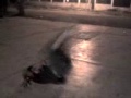 Break Dance Style Escuinapa
