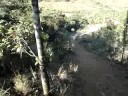 Subindo a garganta do c�o.