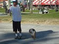 Skateboard dog Tillman \"The Greatest American Dog\"Venice Beach California