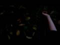 Sympathy For Mr. Oldboy(Scandisk Point and shoot film Fest)