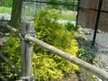 zoo footage