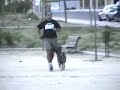 OBEDIENCIA entrenamiento (RICHARD & TESSA)