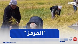 من عمق الجزائر / الزمبو أو المرمز ..  حين تختلف العادات وتتحد الجذور