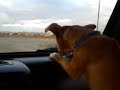 GPS