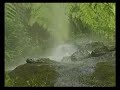 Afrontar la escasez del agua (versión corta)