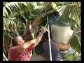 Afrontar la escasez del agua (versión corta)