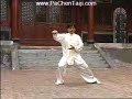 Chen Taijiquan  Da(xin)jia Yi-lu w/Chen Xiao-xing (Part 2)