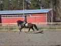 Rexpex