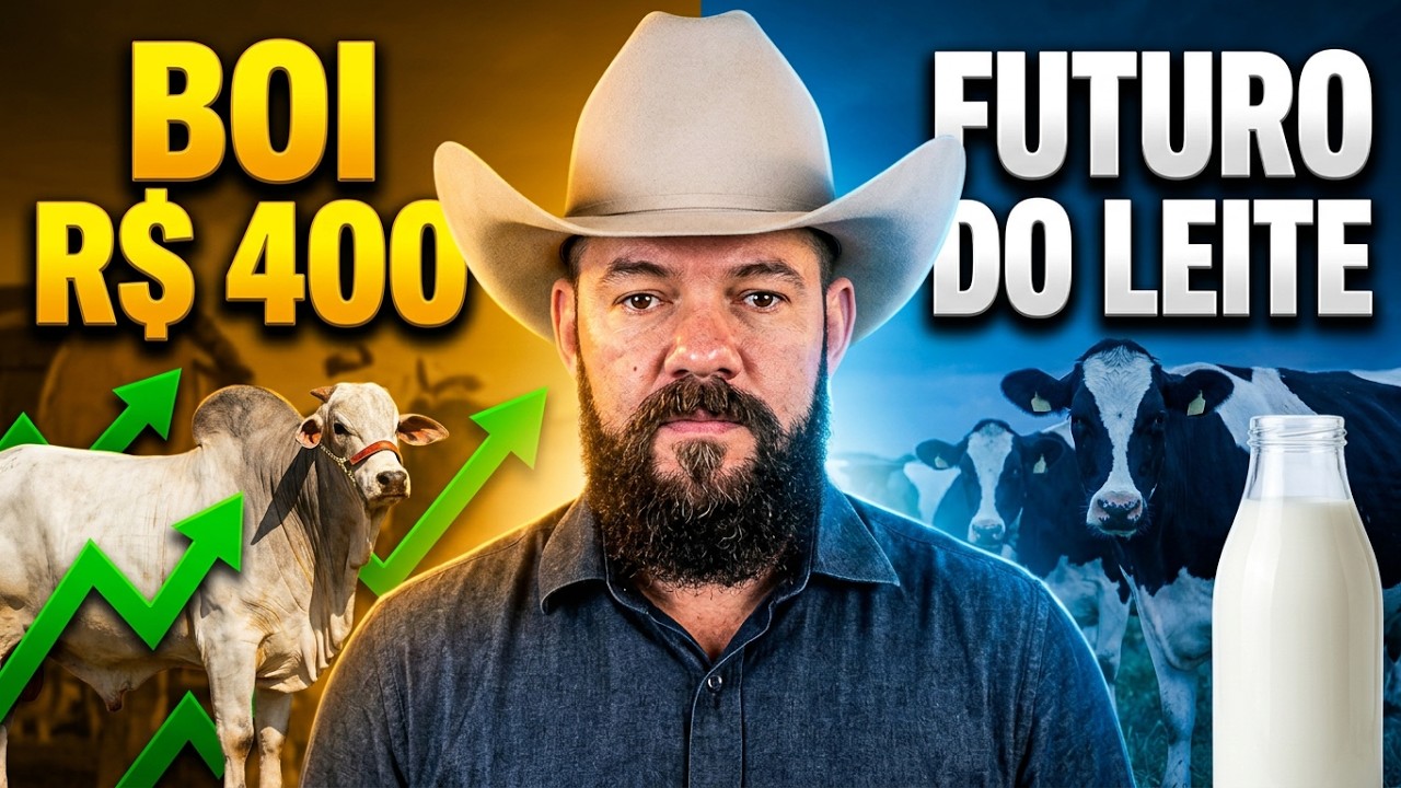 Boi a R$ 400 e o Futuro do Leite: O Que Está em Jogo na Pecuária?