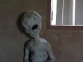 Re: A Message to anonprophetorg Re: A Message to anonprophetorg