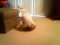 Roll over