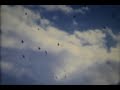 Vessels - Yuki