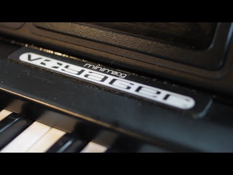 moog minimoog