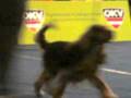 videos de CLIP0783.AVI