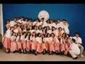 psd-04-05 hibiscus-saan n nga b ang barkada?