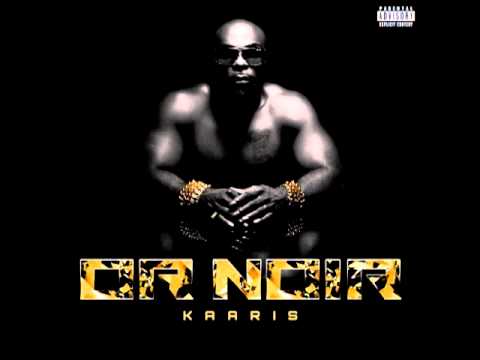 Bizon - Kaaris - Bizon (OR NOIR) HD Kaaris - Zoo (OR NOIR) HD Or Noir : La tracklist Bizon Zoo Ciroc Mbm Binks Je bibi Bouchon de liège Paradis ou enfer L.E.F (feat....