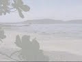 peter decides to get a few coconuts on tambor beach, costa rica