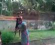 flower fight