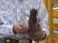Information about Bull Riding Gear