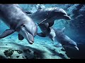 Seasons of the Heart.wmv Seasons of the Heart.wmv