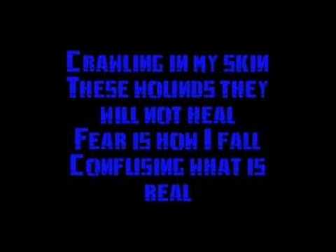 AndyMcArren1356 - This is the song