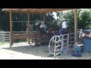 Sand Cay Farm\