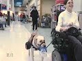 \"Dog Tales\" episode D-114 promo \"Dog Tales\" episode D-114 promo