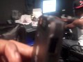 holla and verb in the derrty ent studio,with jge
