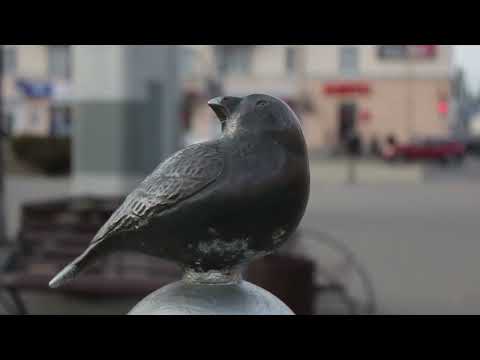 Барановичи день за днем. 14.03.25.