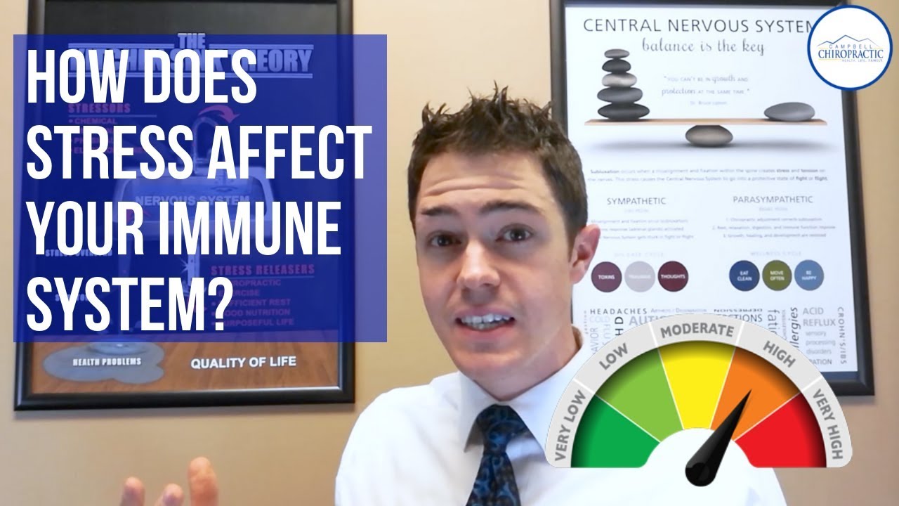 How Stress Affects the Immune System | Campbell Chiropractic