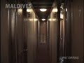 Mother Maldives（サファリダイビング）