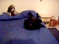 Happy rescue dog Happy rescue dog