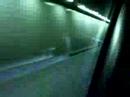 Cupra R Tunnel fly by