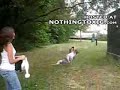 knee in face knee in face